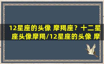 12星座的头像 摩羯座？十二星座头像摩羯/12星座的头像 摩羯座？十二星座头像摩羯-我的网站